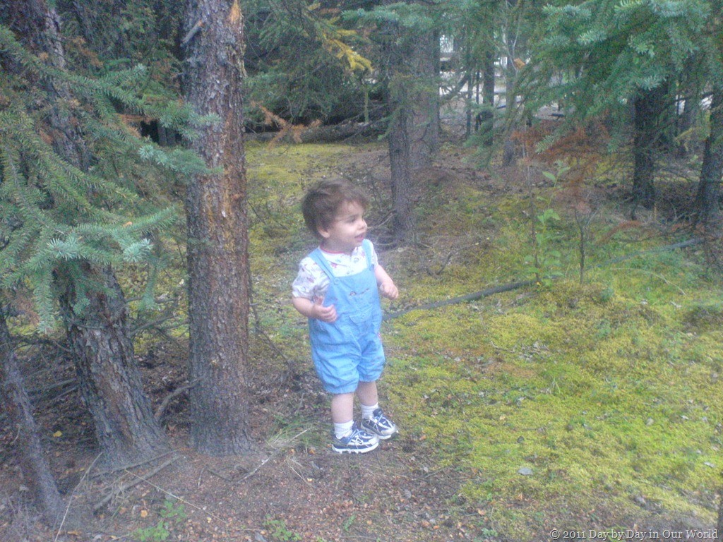 J investigates the campsite