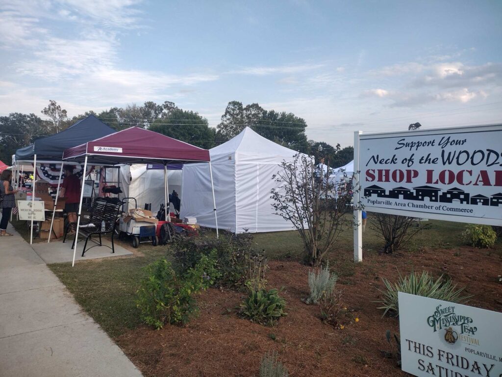 sidewalk goes past several booths for a festival