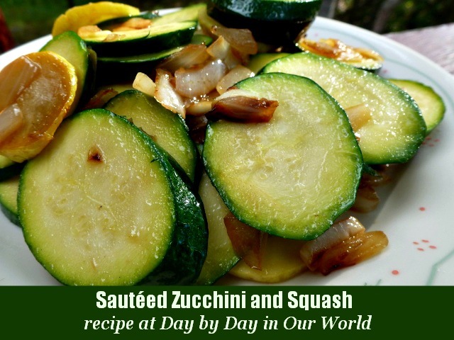 sautéed zucchini and squash