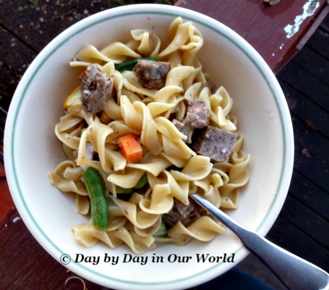 Super Easy Budget Stretching Meatloaf and Noodles Day By Day in Our World