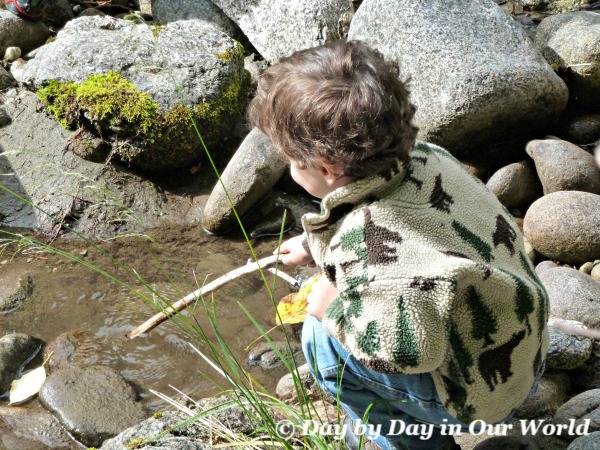 Learning By Experiencing the World