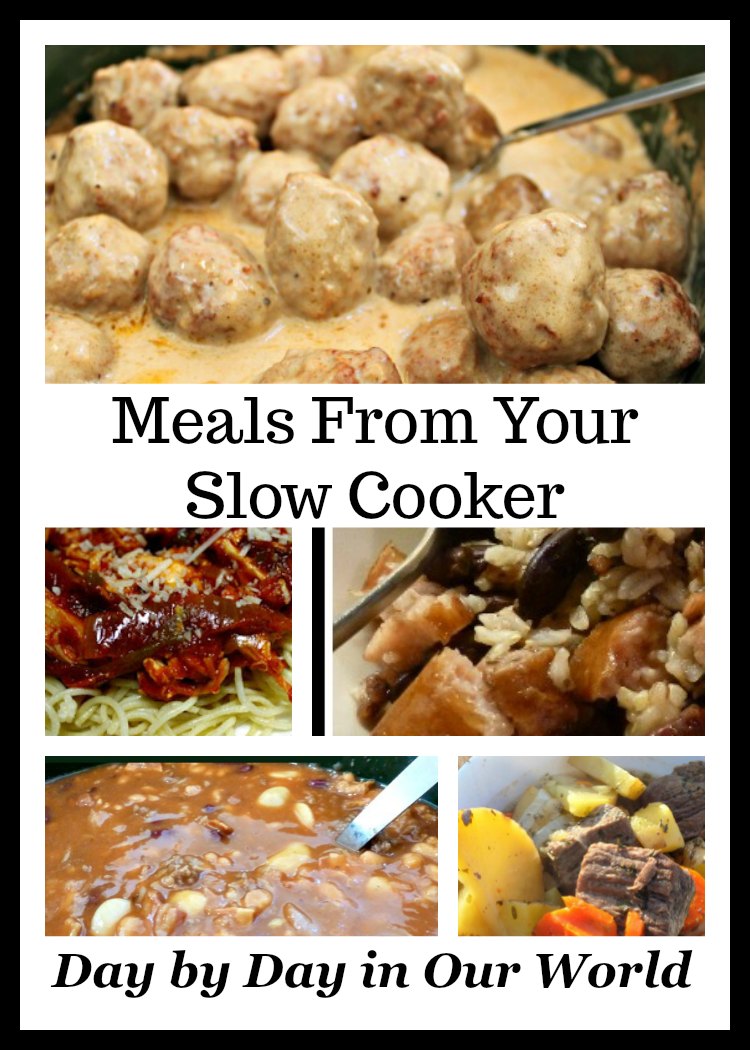 https://daybydayinourworld.com/wp-content/uploads/2015/05/Meals-From-Your-Slow-Cooker-Image.jpg