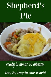 Feel like there is not enough time in your day to cook? Consider this Shepherd's Pie which is done in just over 30 minutes!