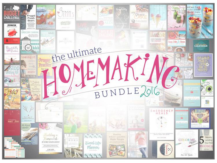 Gain Control Over Homemaking Responsibilities - Day By Day in Our World