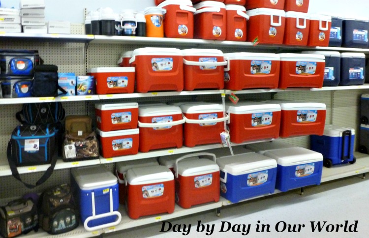 Choose a cooler based on your needs when camping