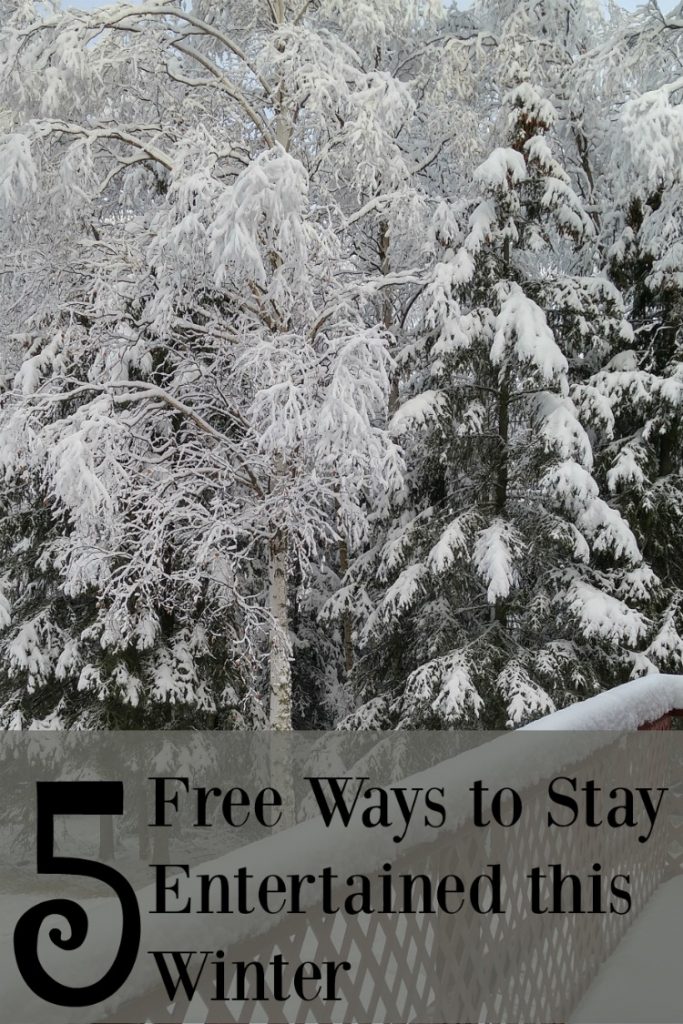 Have a case of cabin fever? Stuck inside? Here are 5 Free Ways to Stay Entertained This Winter.