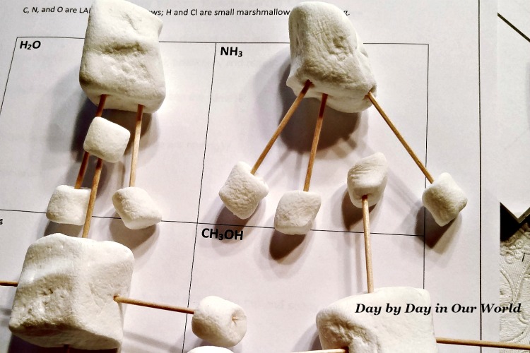 Science Can be Hands on with manipulatives like marshmallows to make compounds.