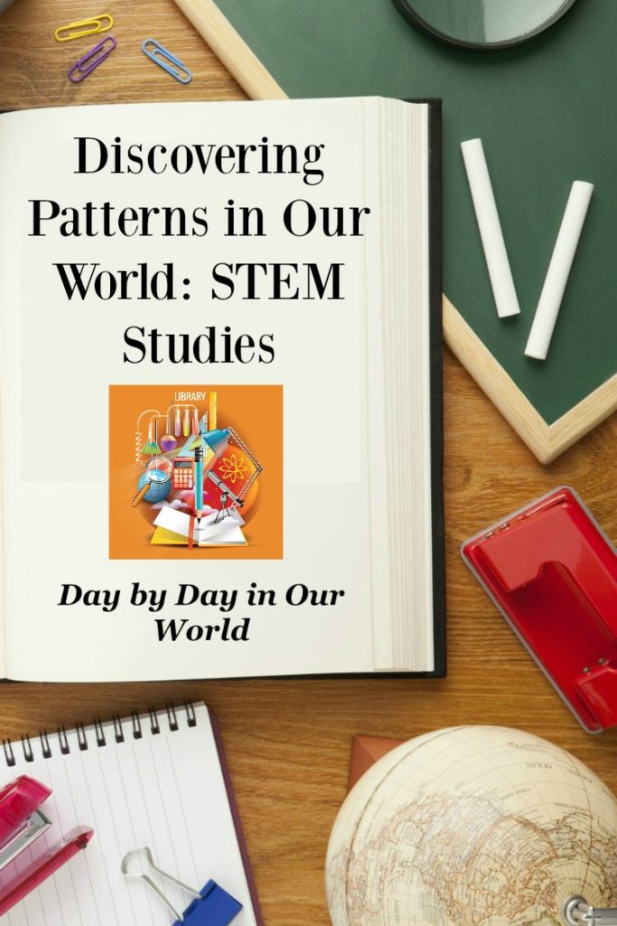 Spotlight On Patterns in our world STEM Studies PIN.