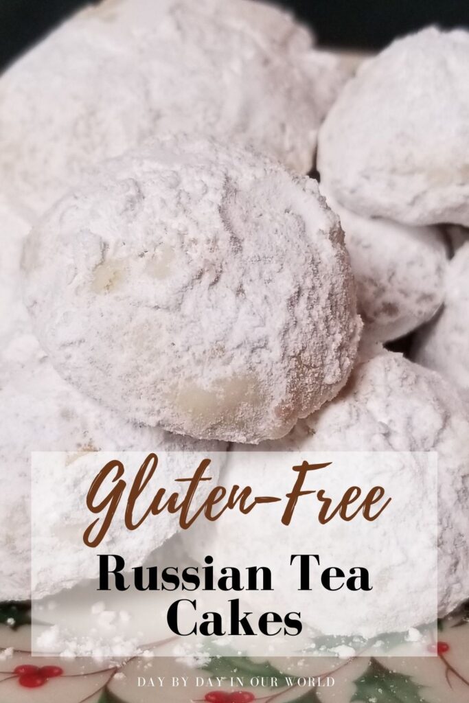 Gluten Free Russian Tea Cakes - Day By Day in Our World
