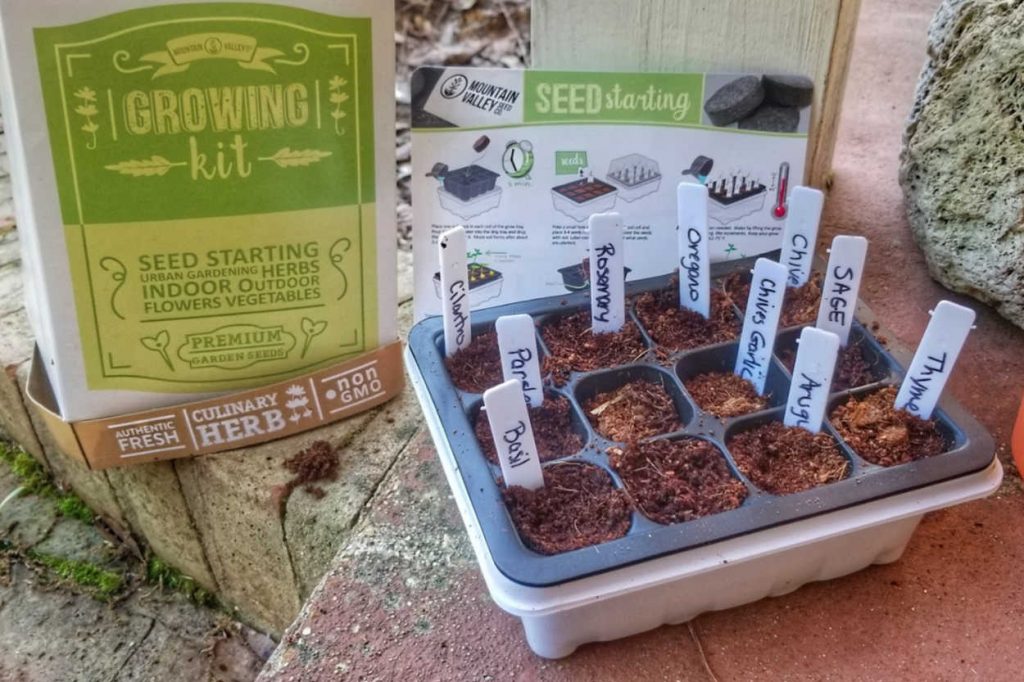 Herb seeds planted in seed starting kit.