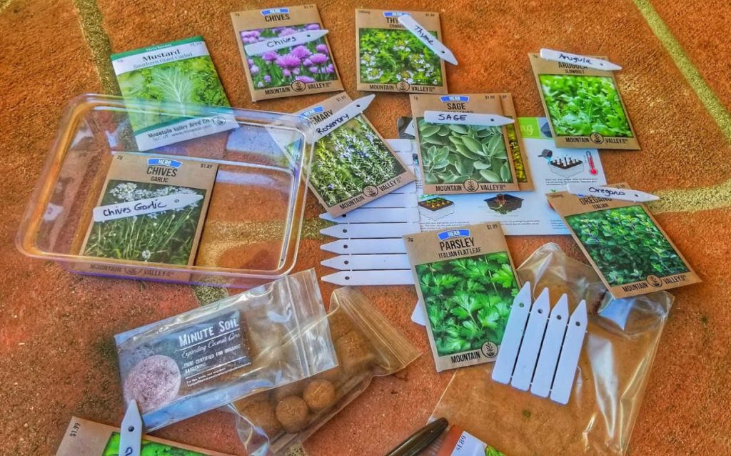 Herb Seeds Ready for Planting an Indoor Herb Garden