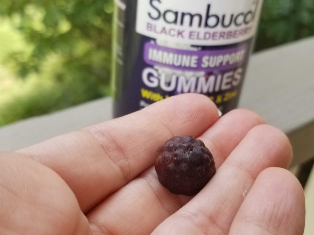 Sambucol® Black Elderberry Gummiy in hand with bottle in background.