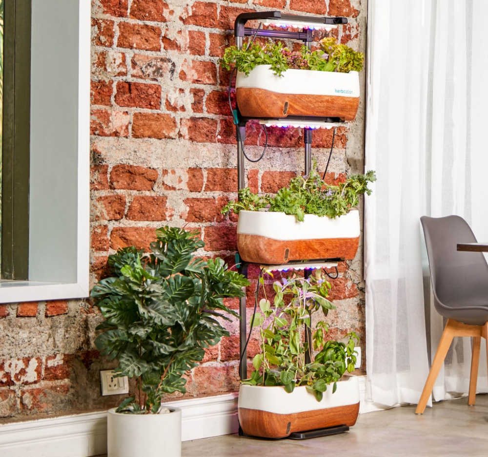 Example of tiered growing for a balcony garden