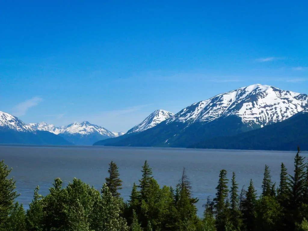 View of snowcapped mountain range across body of water. Evergreen trees are close by.