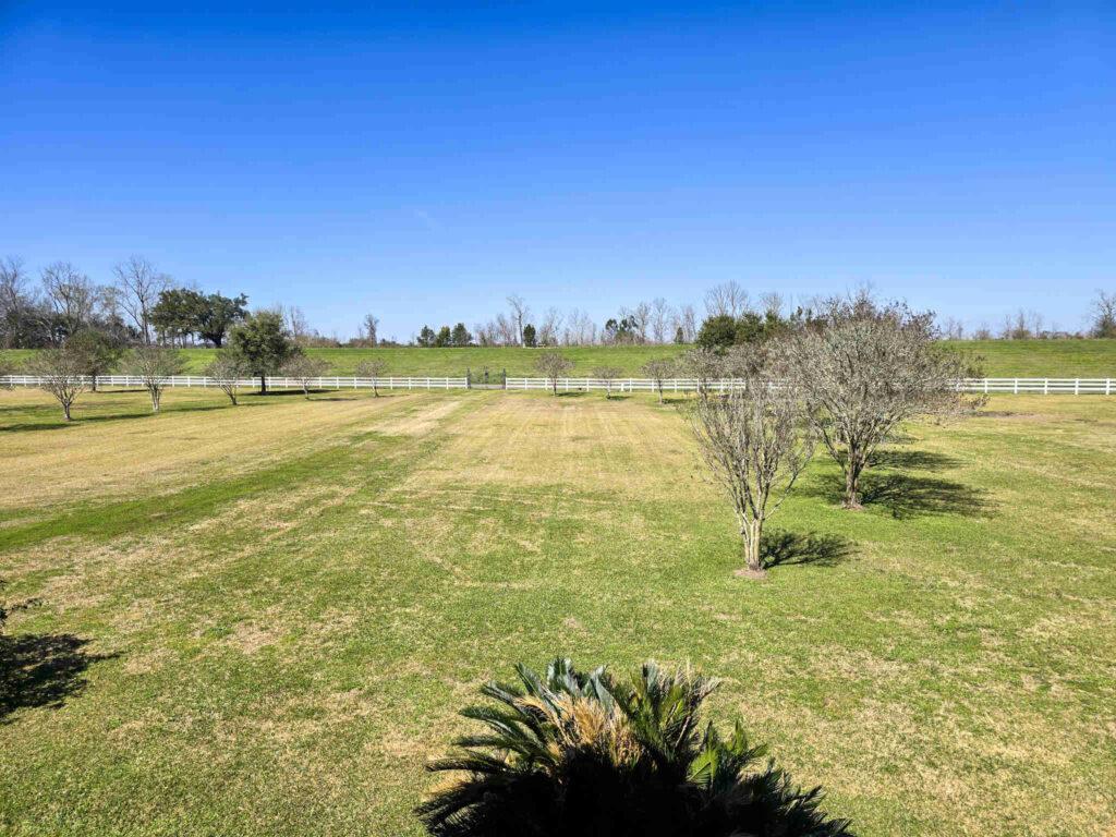 View from St. Joseph Plantation grounds looking across the open lawn toward the Mississippi River levee.