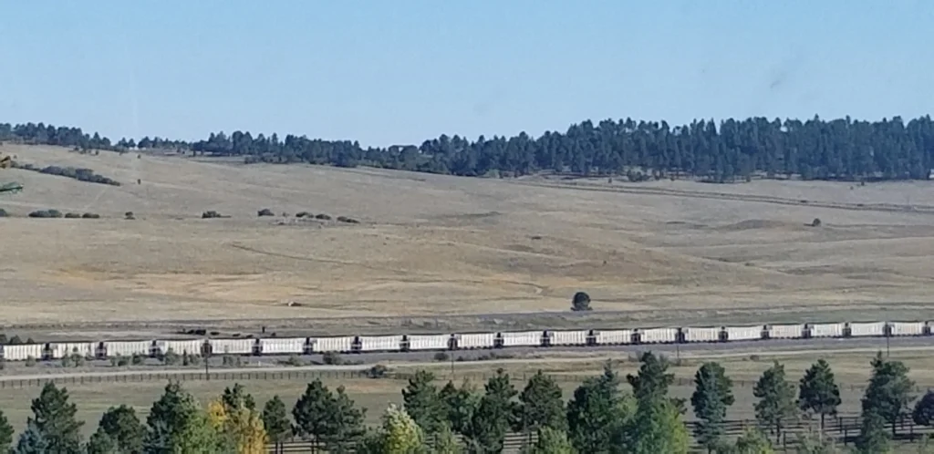 Freight train traveling through the rolling prairie landscape of South Dakota with grassy hills and pine trees in the background.